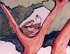 Linda Shea artwork